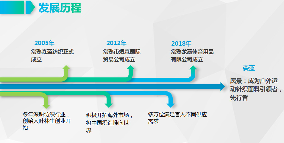 公司简介 (2)